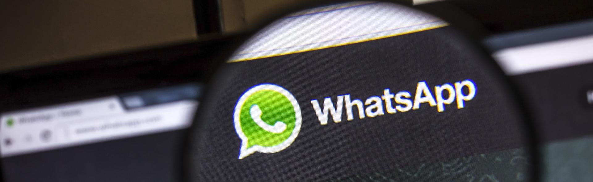 WhatsApp account verificati per il business